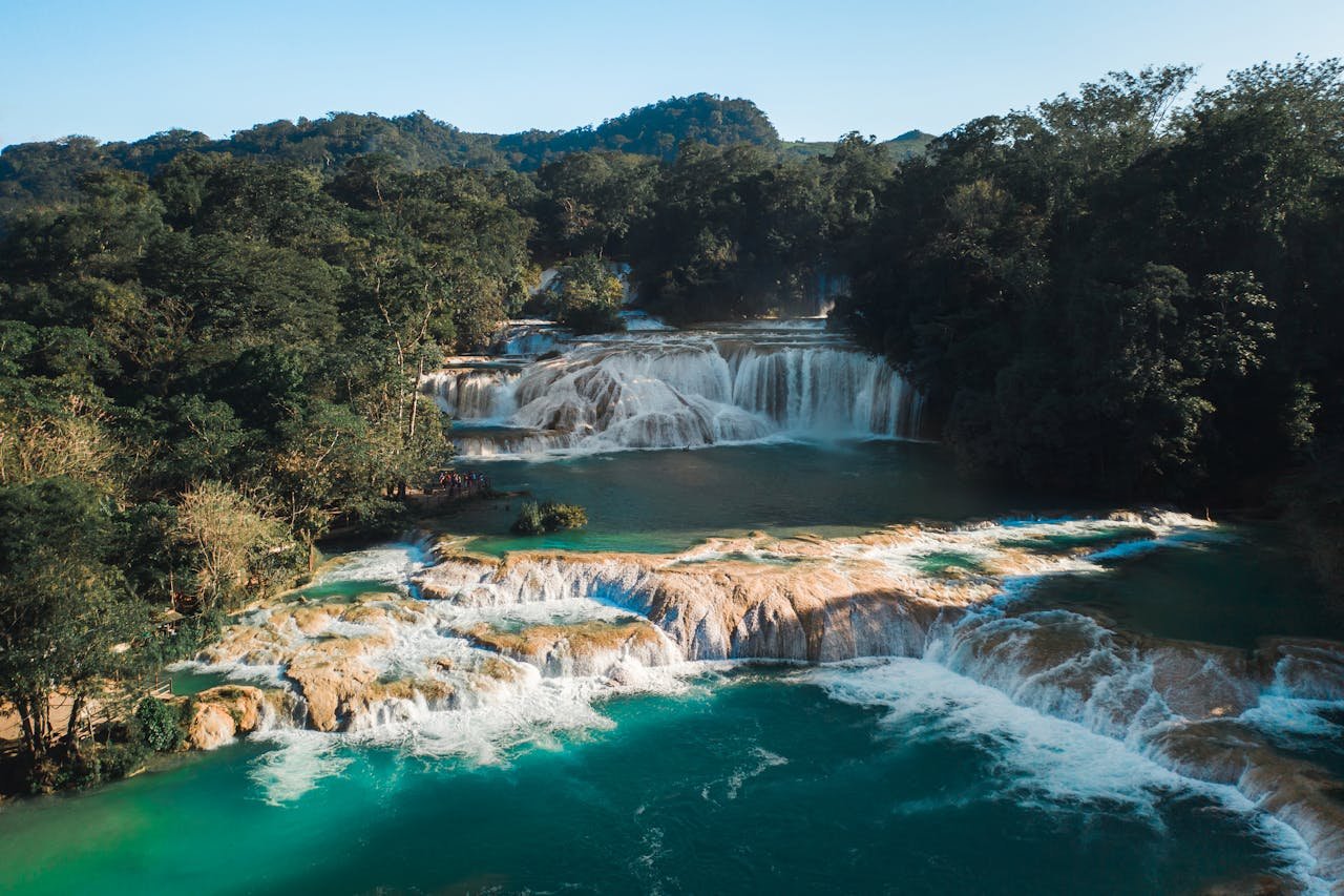Cultura y selva, Chiapas
